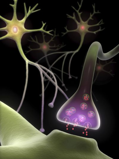 Protein misfolding in neurodegeneration