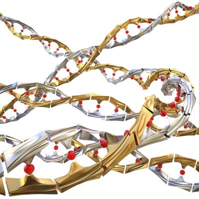 Wizualizacja naprawy DNA