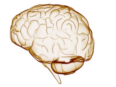 Neuroprotekcja - nadzieja w walce ze skutkami udarów i urazów mózgu
