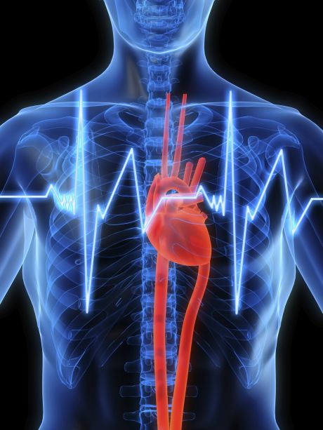 Test diagnozujący choroby serca