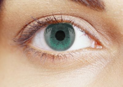 Towards understanding of retinal degeneration 
